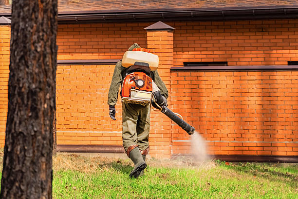 Trusted Rodent Control service in Cowpens, SC - Nex Pest Control